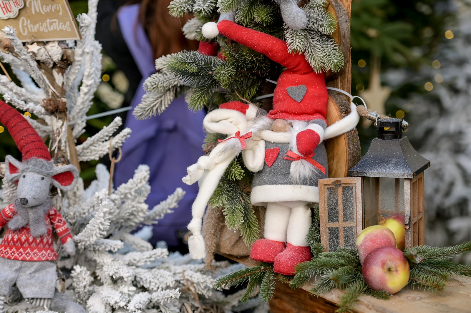 Image 5532606 (auto)