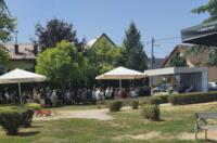 508027980_1236379541834124_6391189959732119971_n