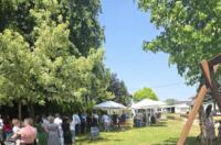 508109236_1236378911834187_4769747689482777833_n