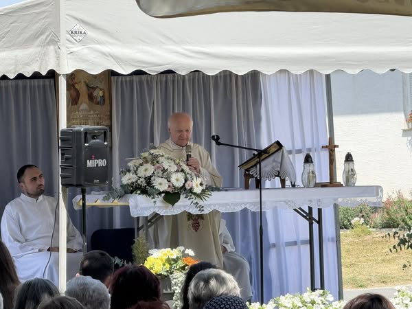 508203446_1236378585167553_5816612713014174041_n