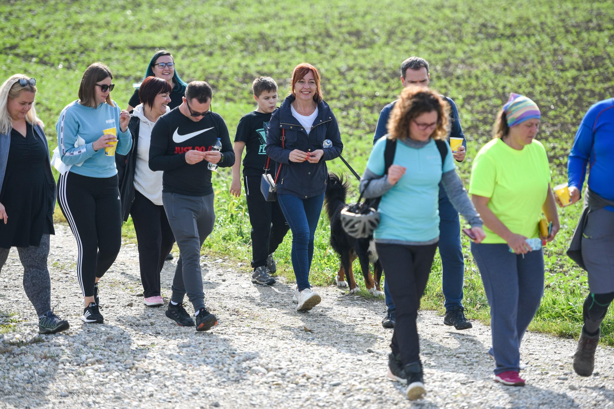 Image 5505990 (auto)