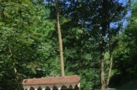 520217881_731836526274134_8028127417139984033_n