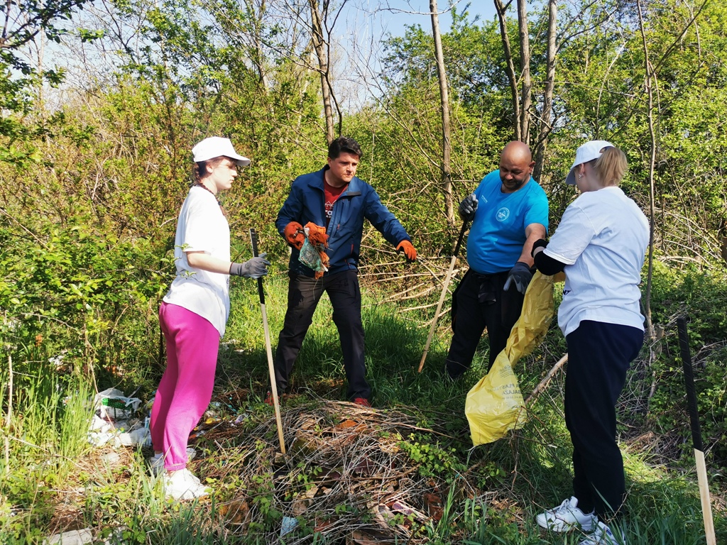 Image 5666843 (auto)