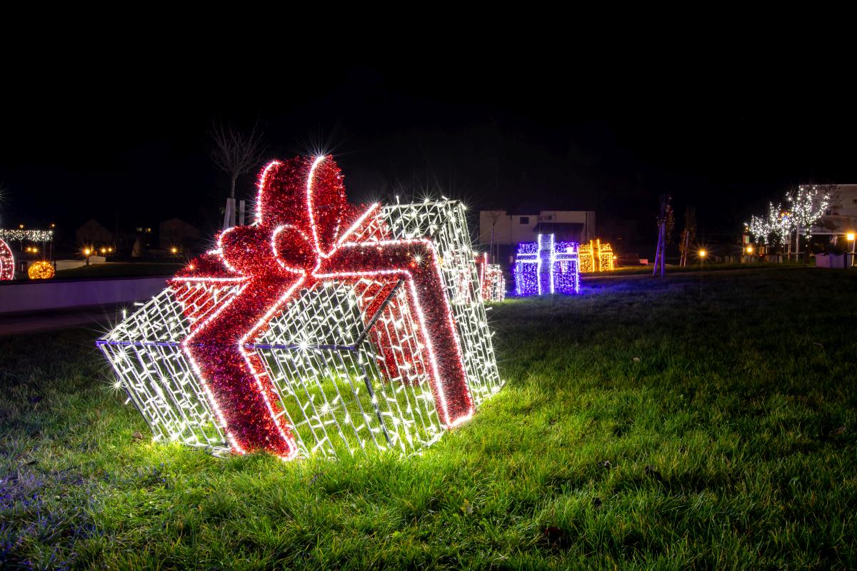 Image 5535238 (auto)