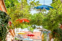 536284515_1325291569164557_7903352981008462627_n