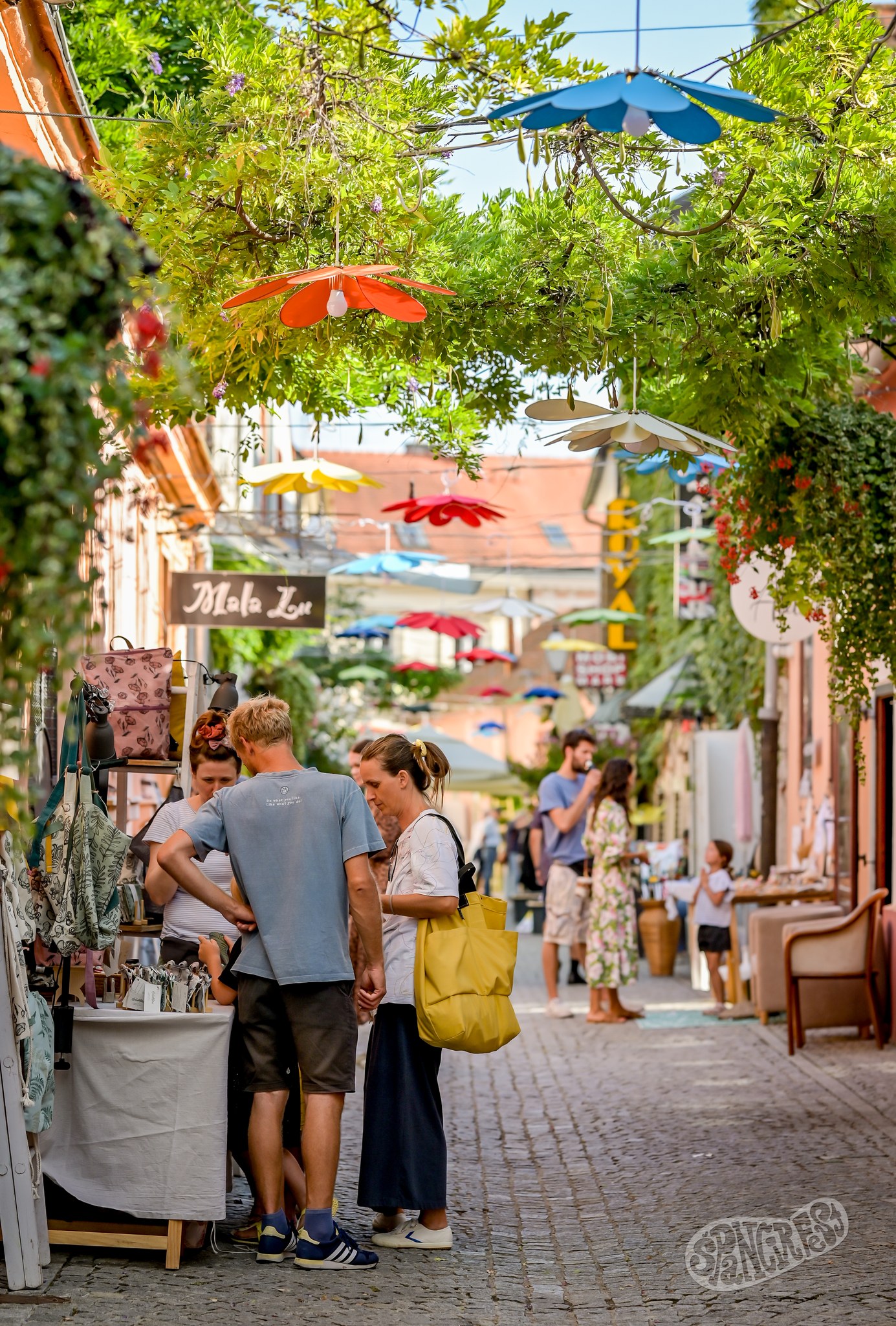 536284515_1325291569164557_7903352981008462627_n