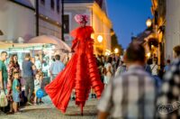 537561858_1325290045831376_2404308308969115111_n