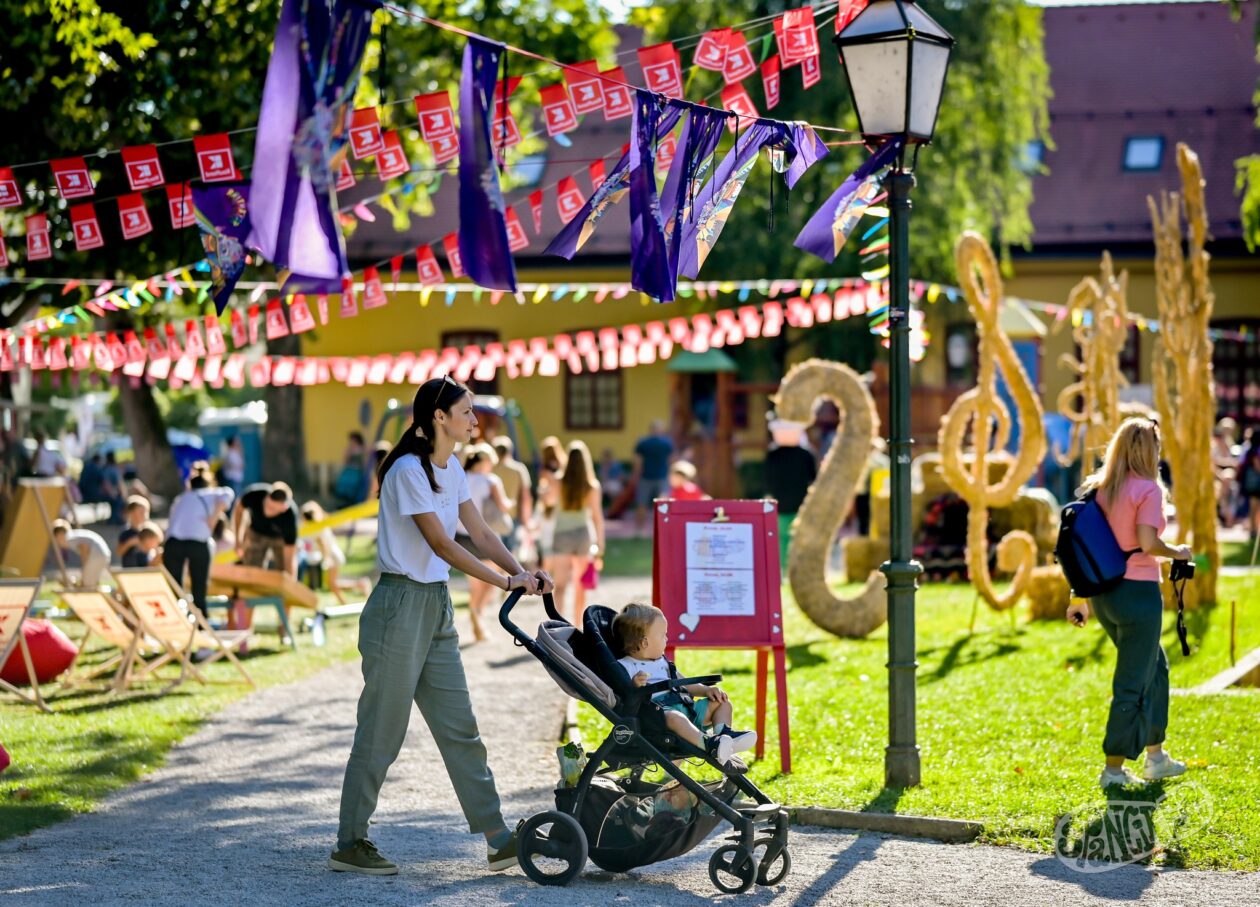 538207928_1325292502497797_789069876073638600_n