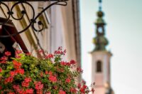 538970151_1328602928833421_6605751830668992460_n 538970151_1328602928833421_6605751830668992460_n