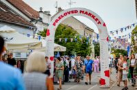 539381168_1329503228743391_6674508384192964134_n