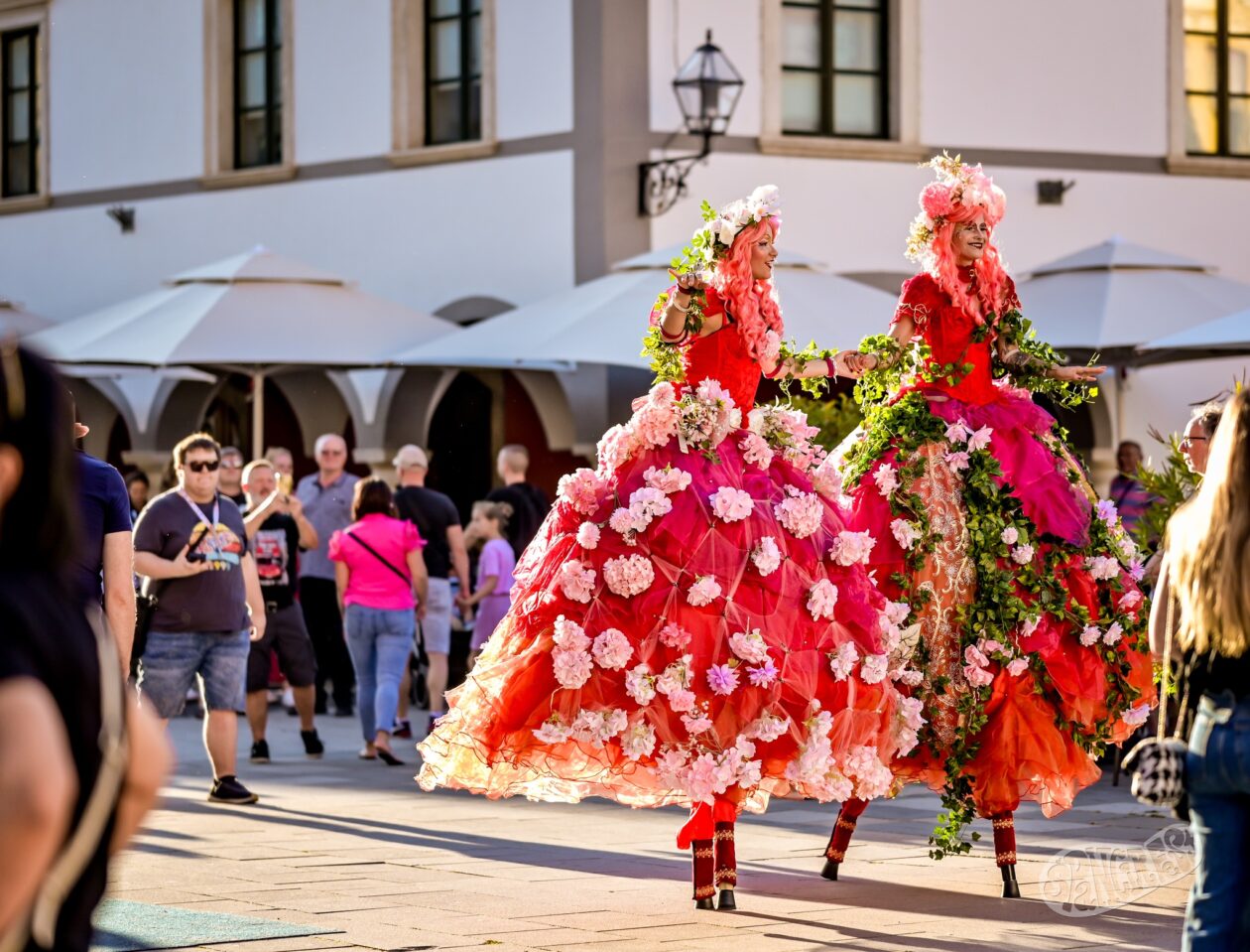 539604702_1328602898833424_6345922757148991801_n