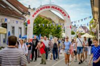 540542008_1332778305082550_7361934050004364092_n 540542008_1332778305082550_7361934050004364092_n