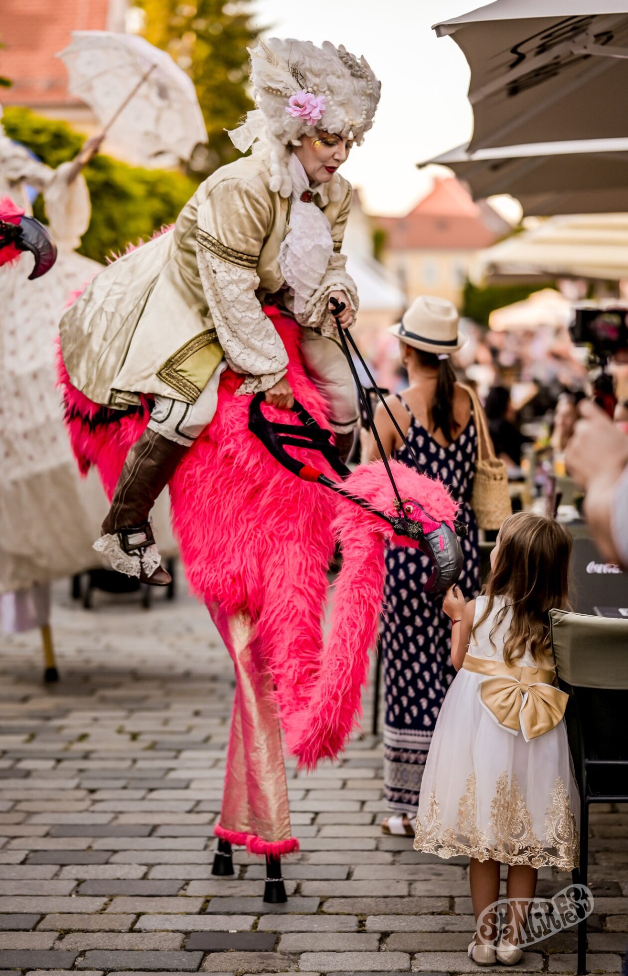 540644826_1328604322166615_7929677854850786558_n