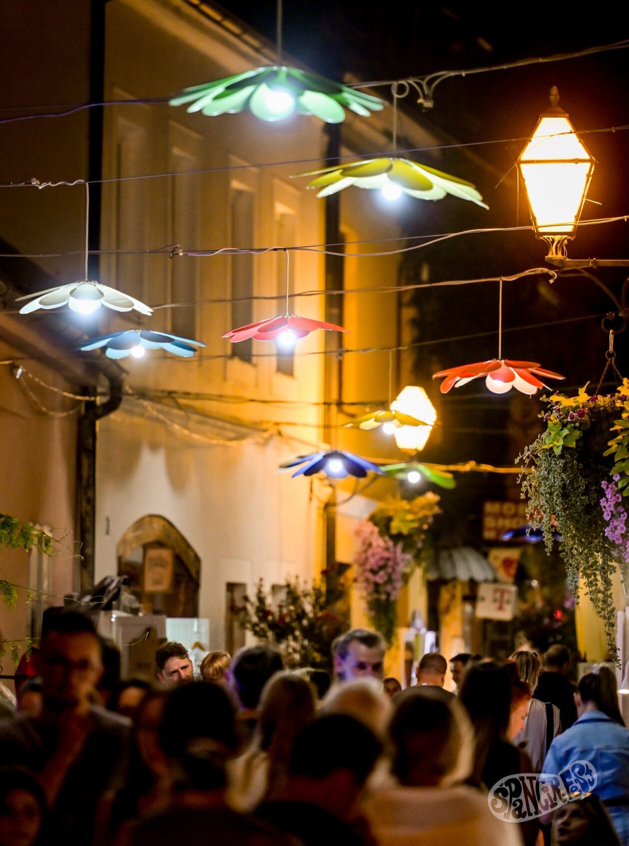 540732712_1329502672076780_2160356665146043019_n