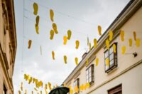 540895928_1331159895244391_1590479756308285870_n 540895928_1331159895244391_1590479756308285870_n