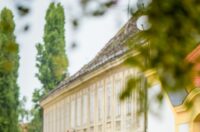 540918354_1331160205244360_4976281670871009276_n 540918354_1331160205244360_4976281670871009276_n