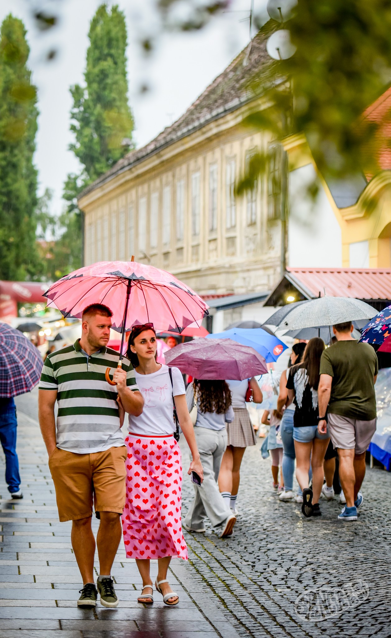 540918354_1331160205244360_4976281670871009276_n 540918354_1331160205244360_4976281670871009276_n