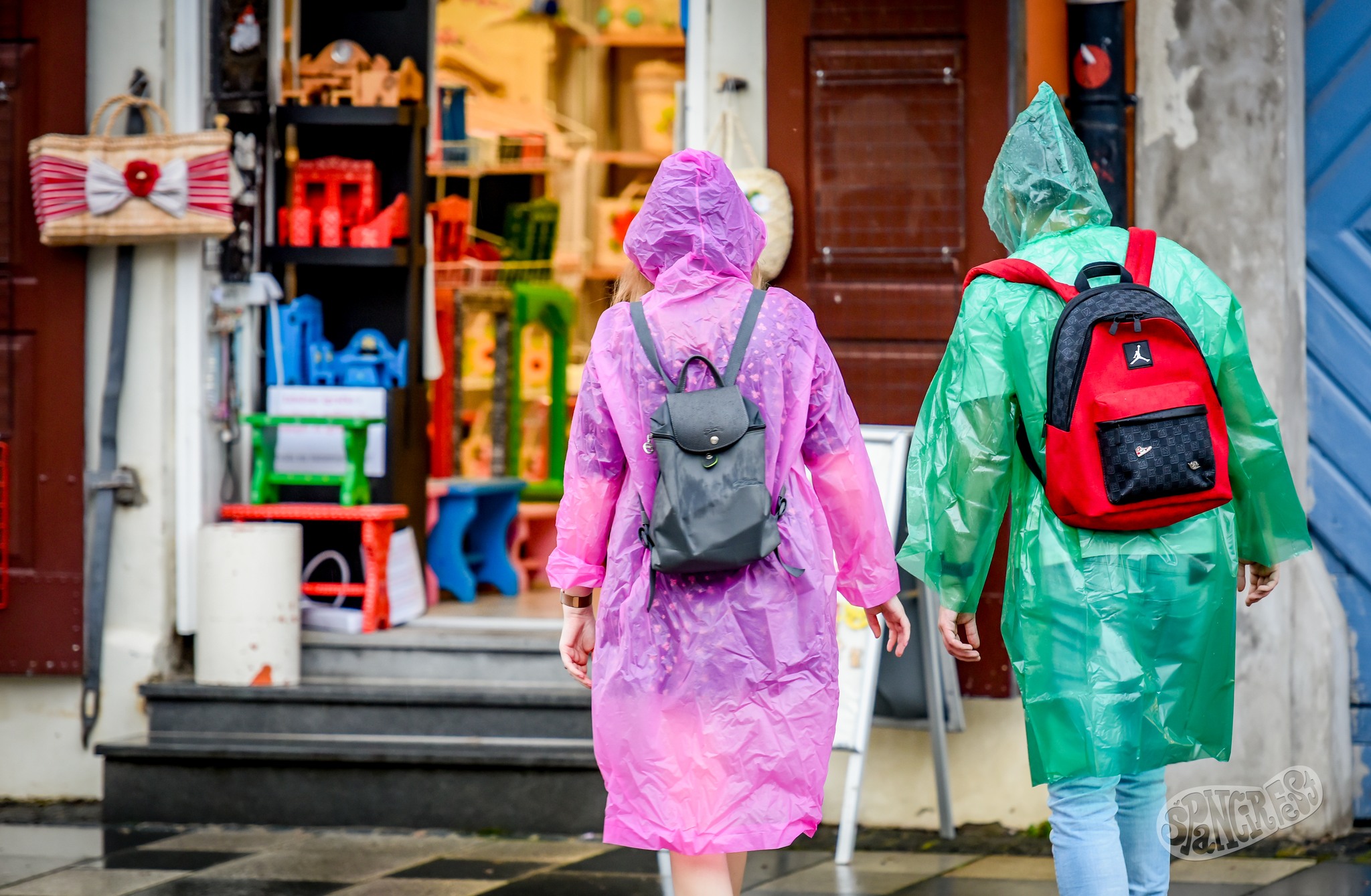 541147324_1331160128577701_2501584993037248392_n 541147324_1331160128577701_2501584993037248392_n