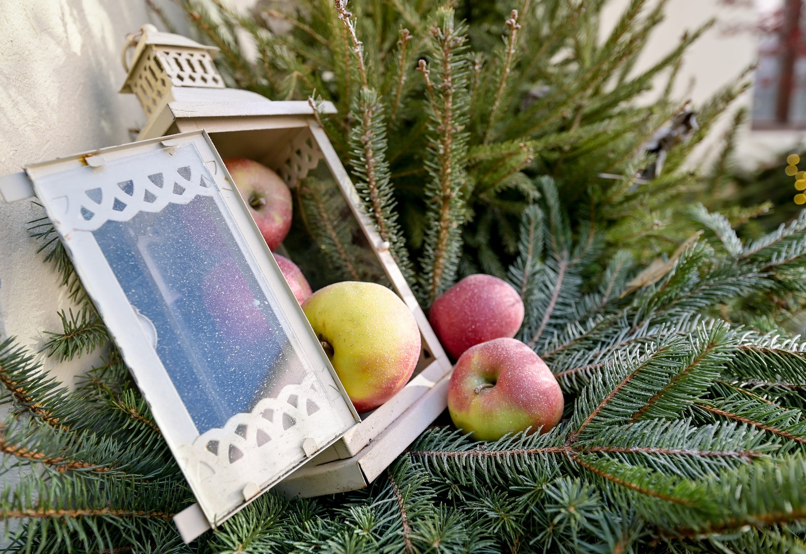 Image 5532604 (auto)