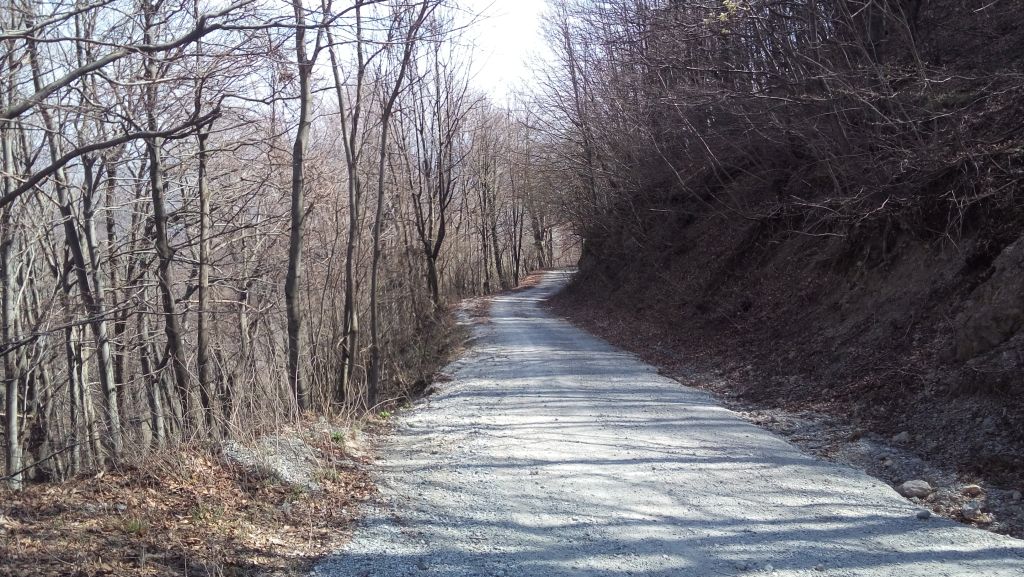 20150411114611118176