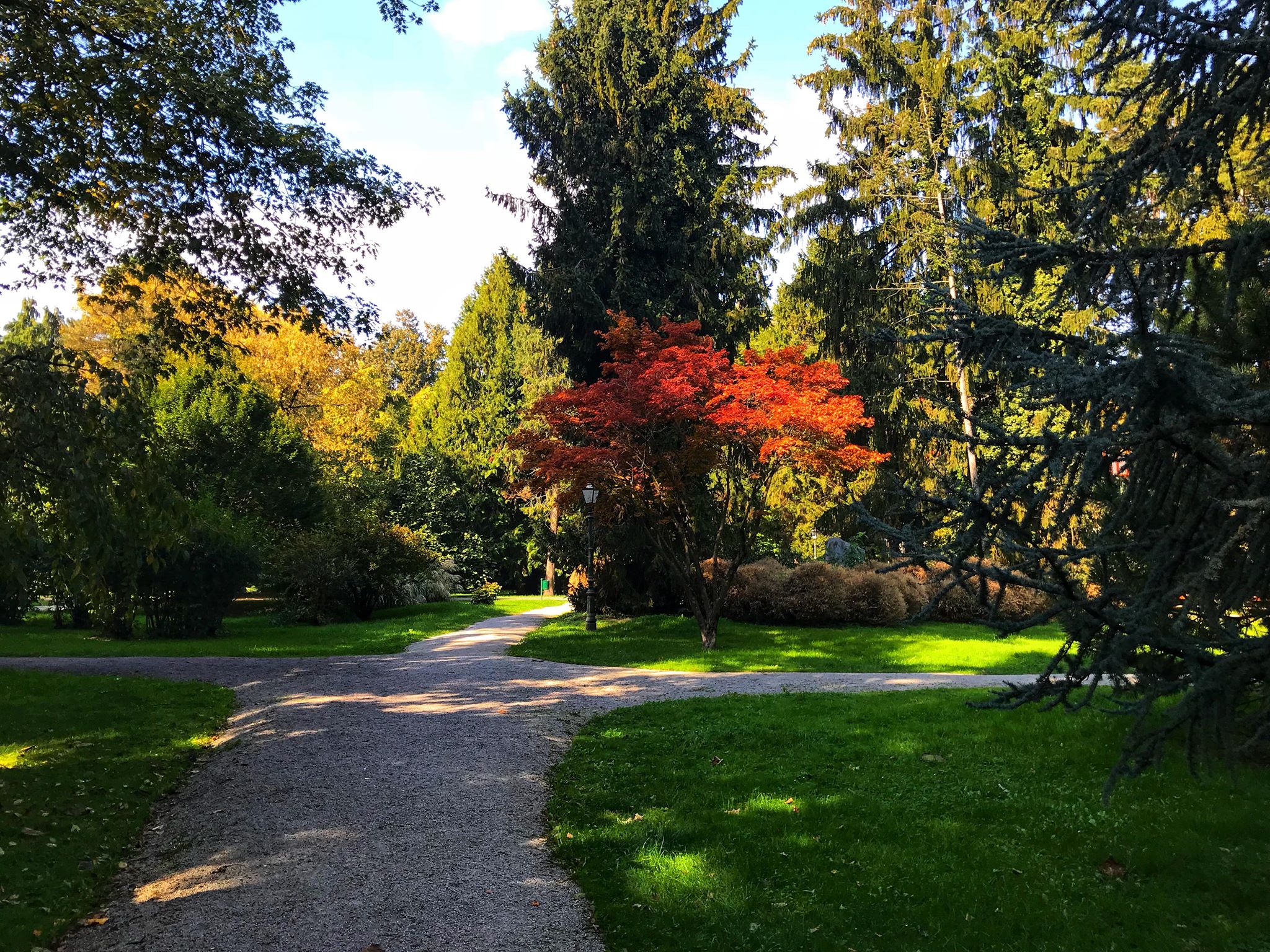 Jesen u varaždinskom parku