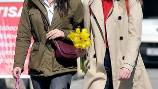 Dan narcisa Dan narcisa