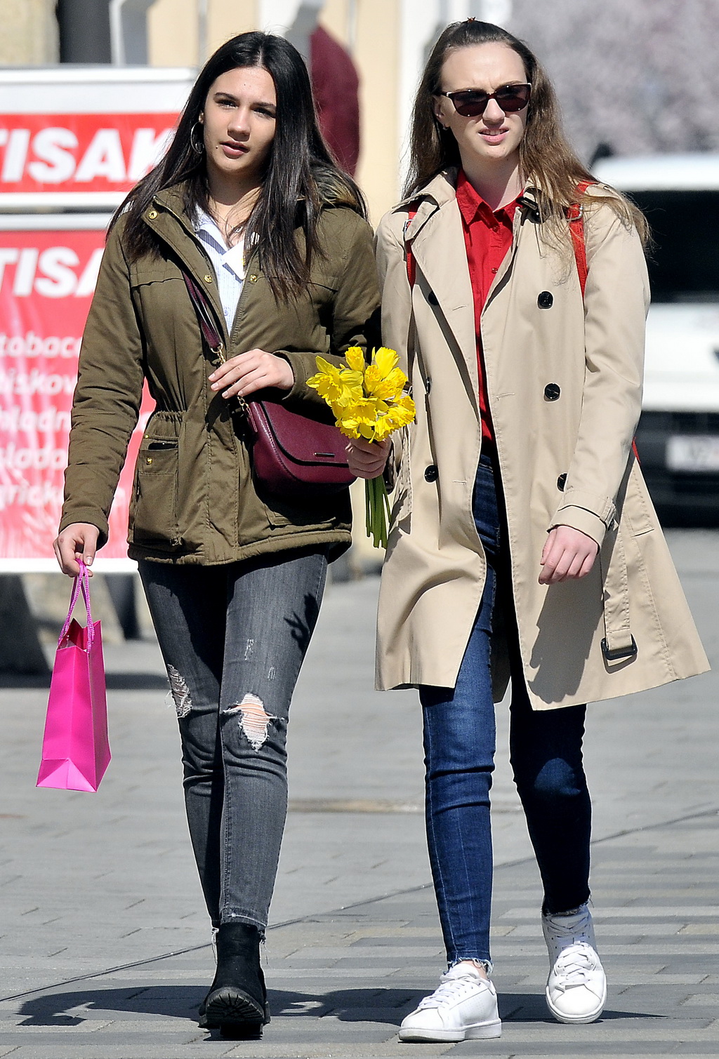 Dan narcisa Dan narcisa