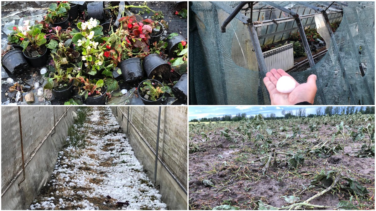 Tuča Veliki Bukovec