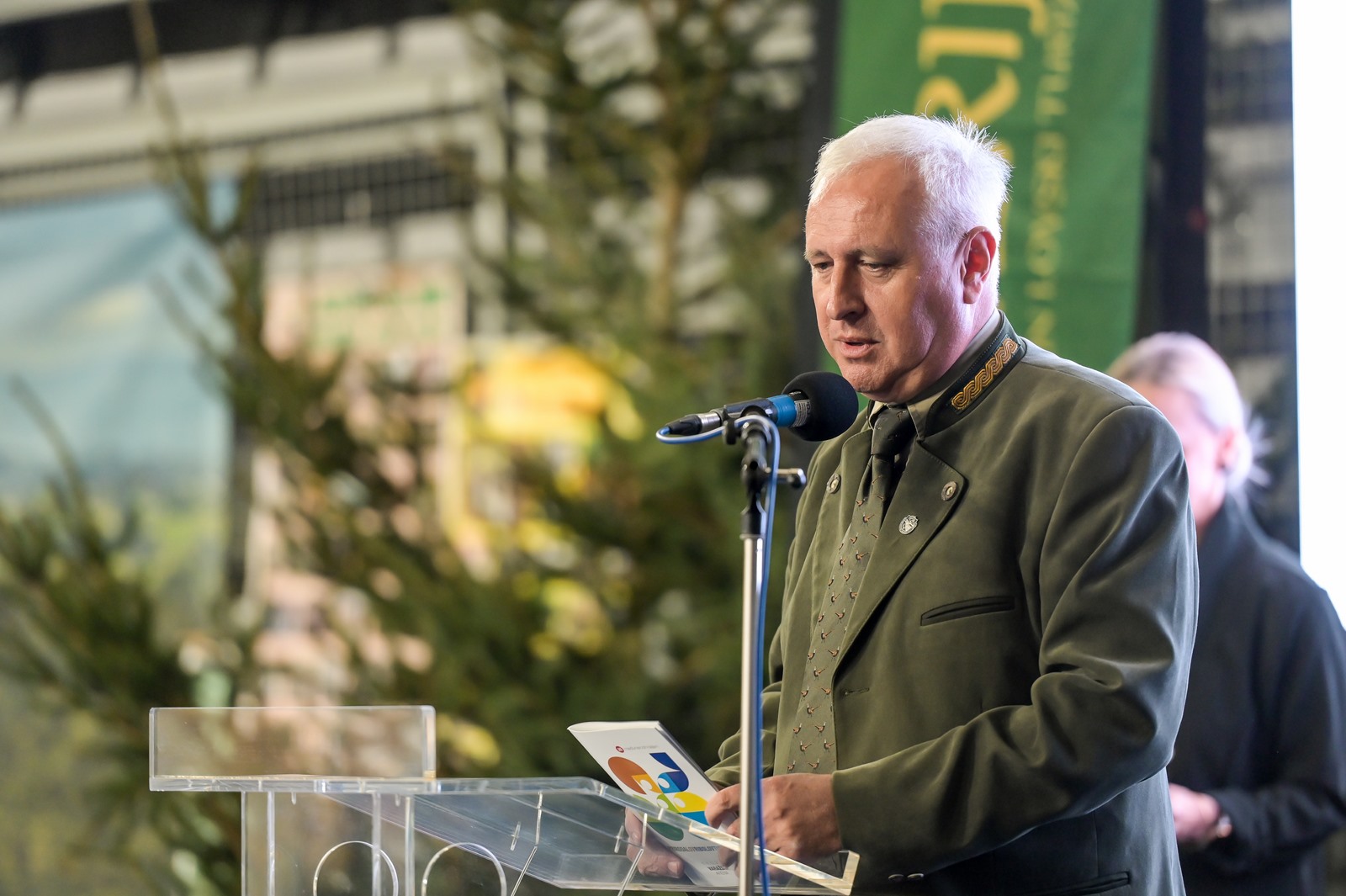 Image 5861201 (auto)