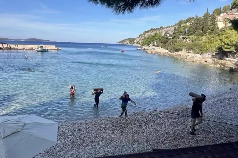 559146799_1175107884746103_6779937557394384971_n 559146799_1175107884746103_6779937557394384971_n