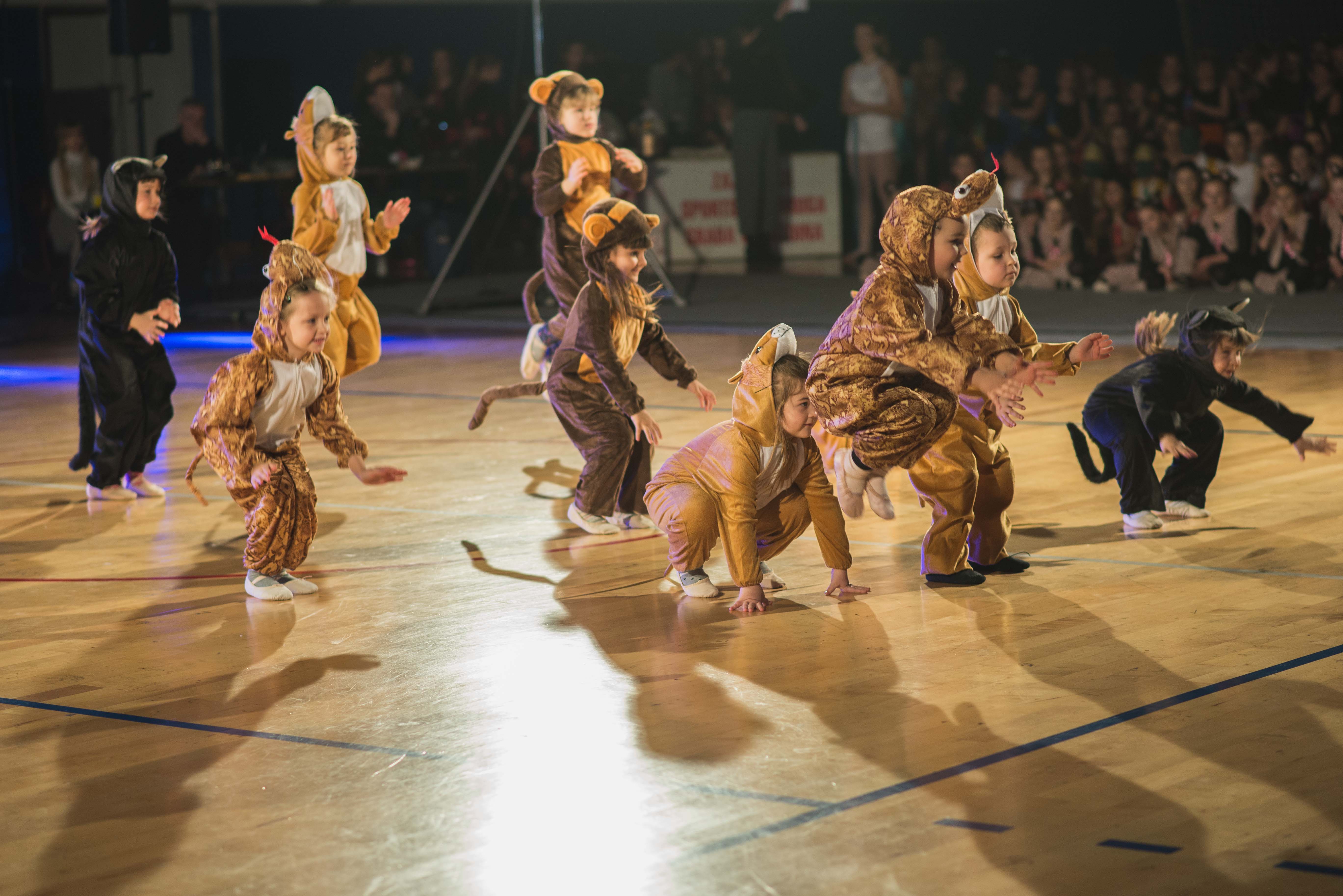 Ples, plesni klub plan b Ples, plesni klub plan b