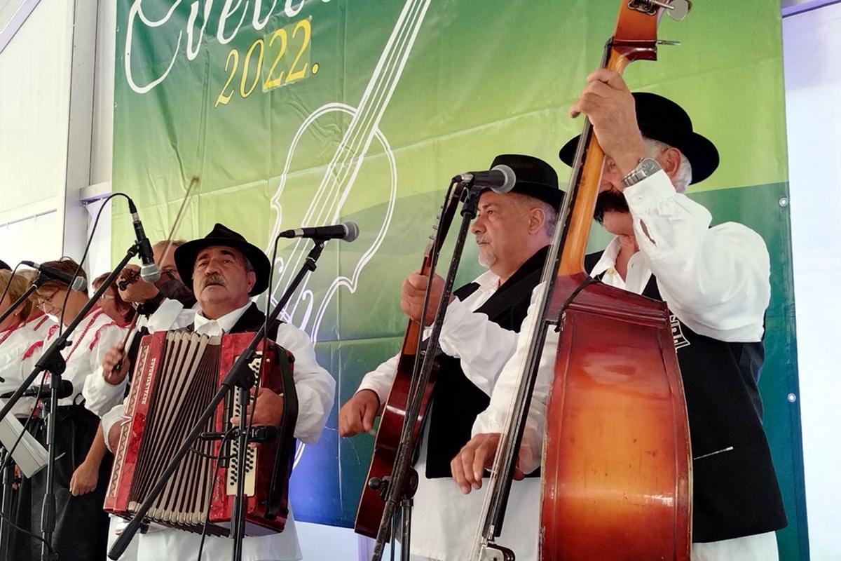 Image 5422920 (auto)