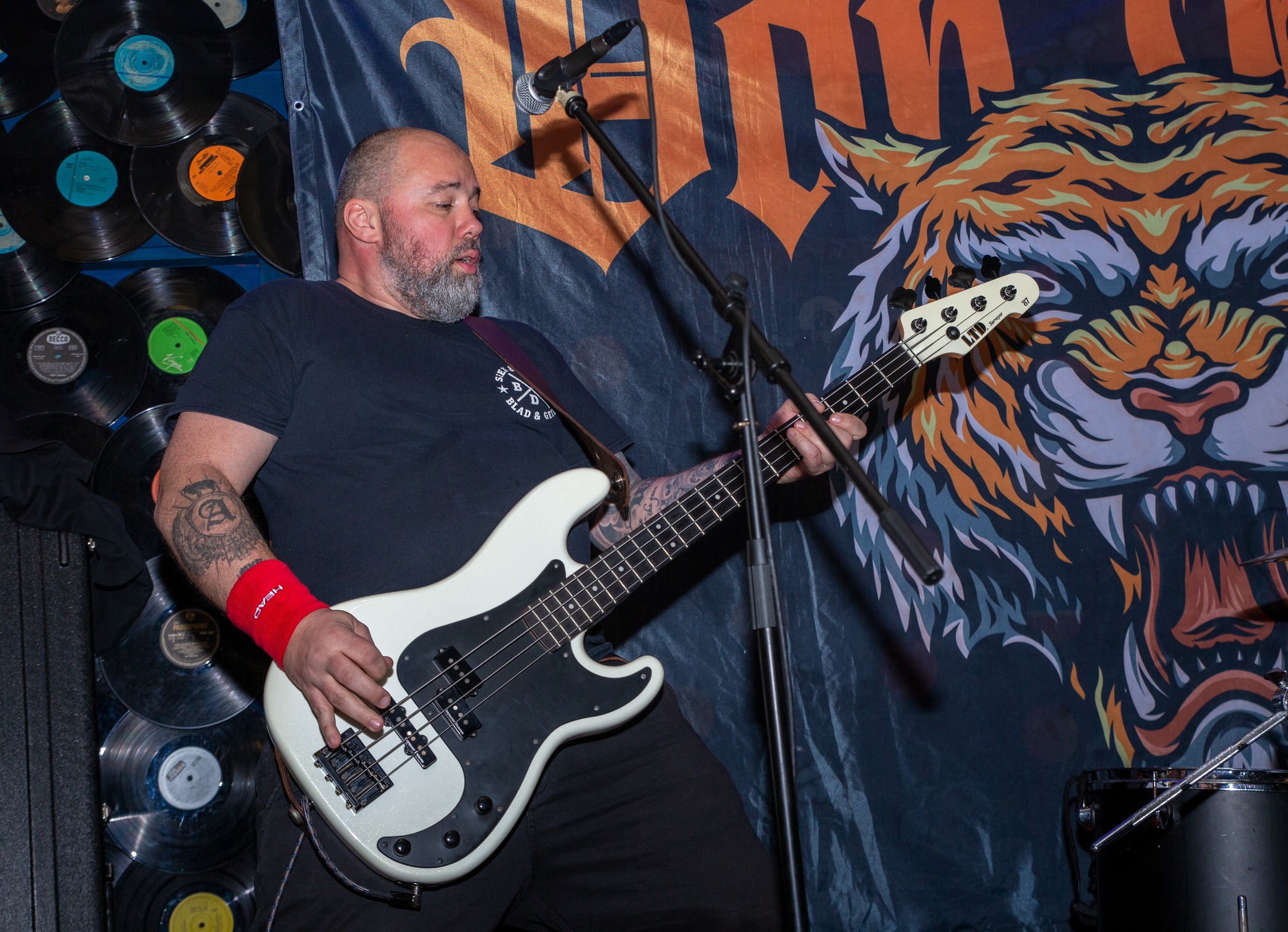 don gatto youth against