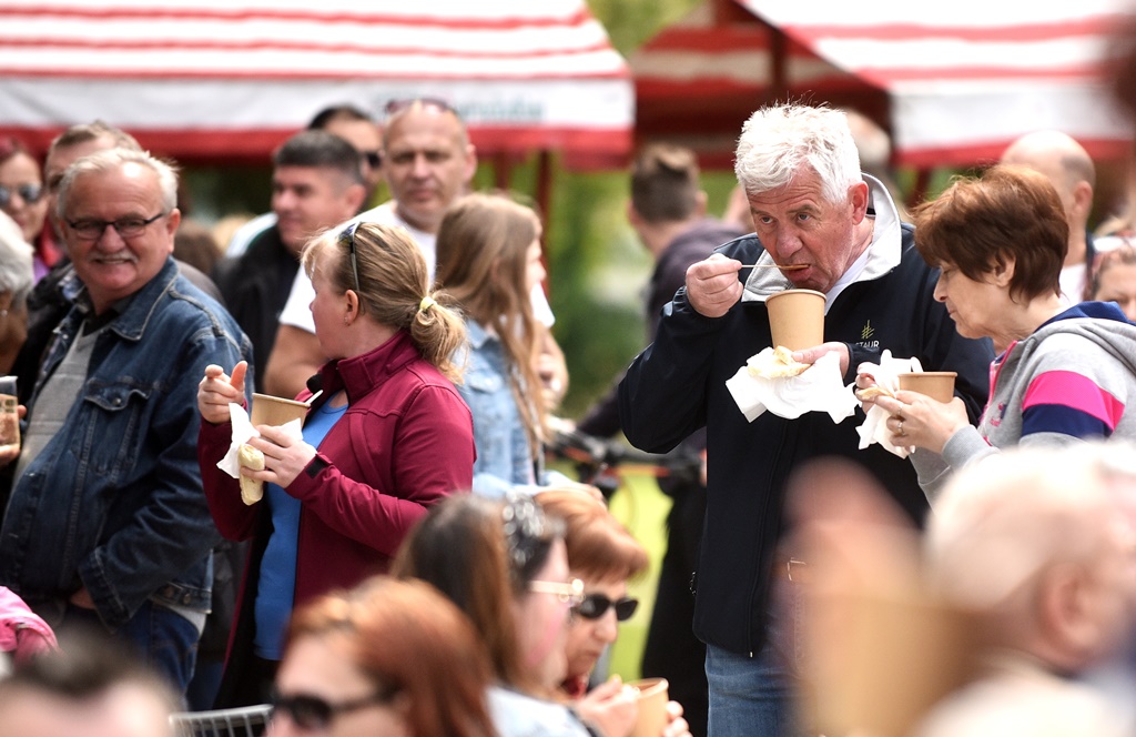 Image 5678243 (auto)