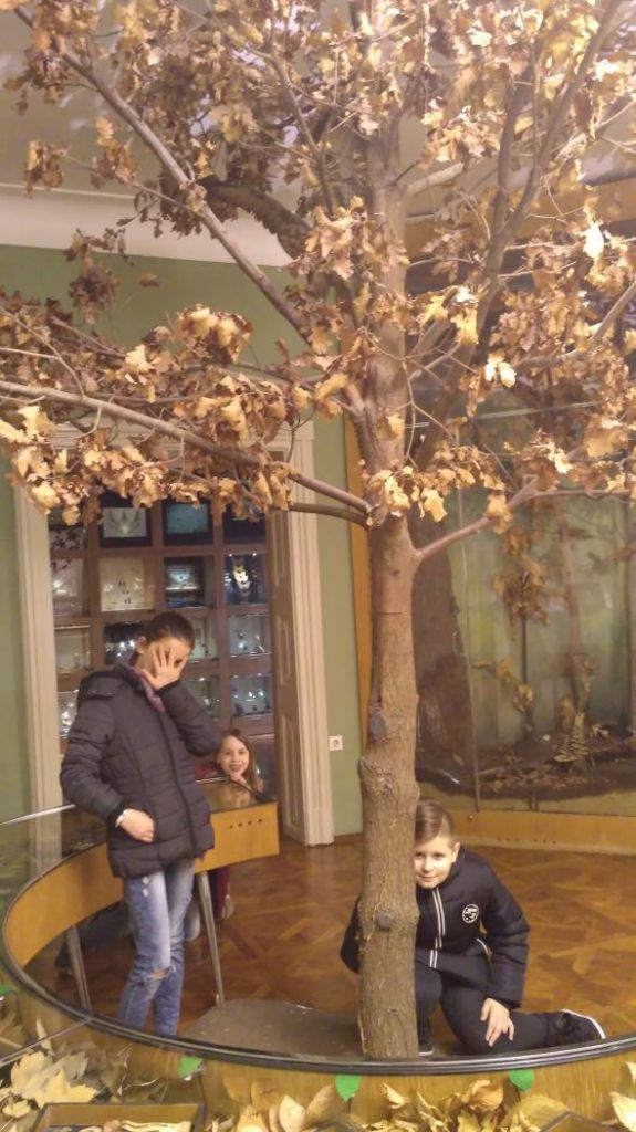 img20180323122826960983