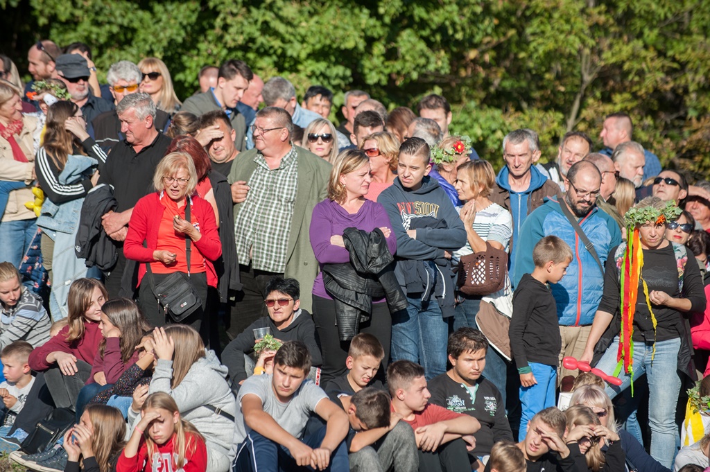 Bitka za utvrdu Čanjevo