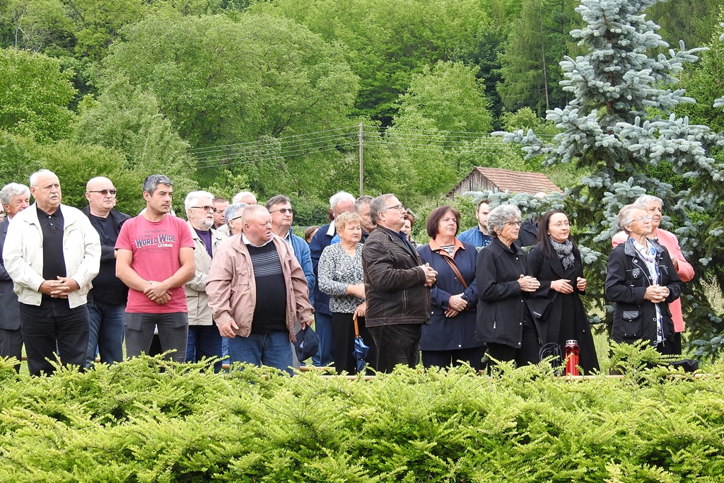 Image 4499604 (auto)