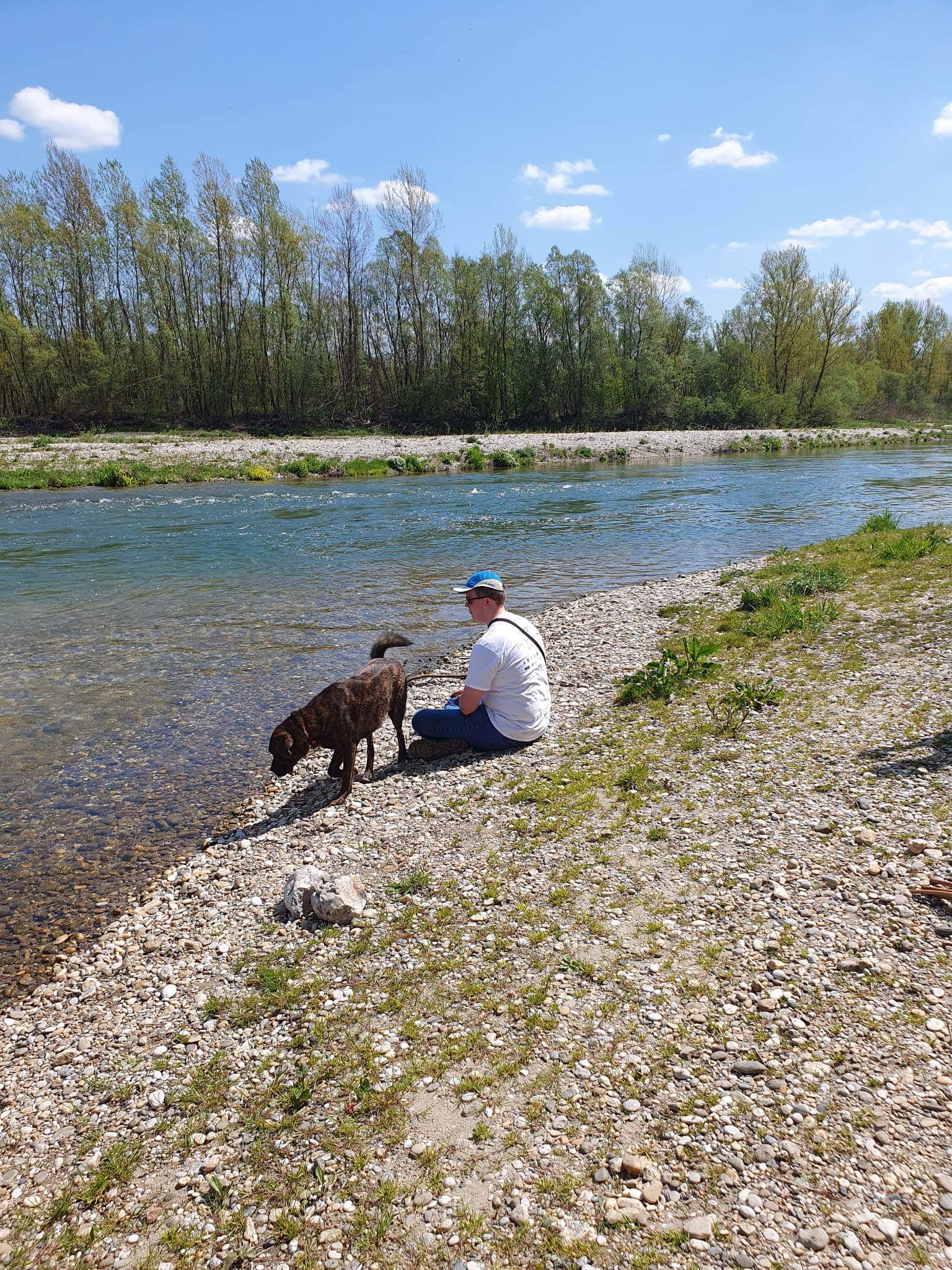 Kavica i čista Dravica