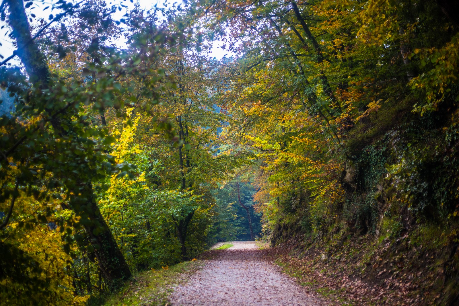Jesen u Trakošćanu