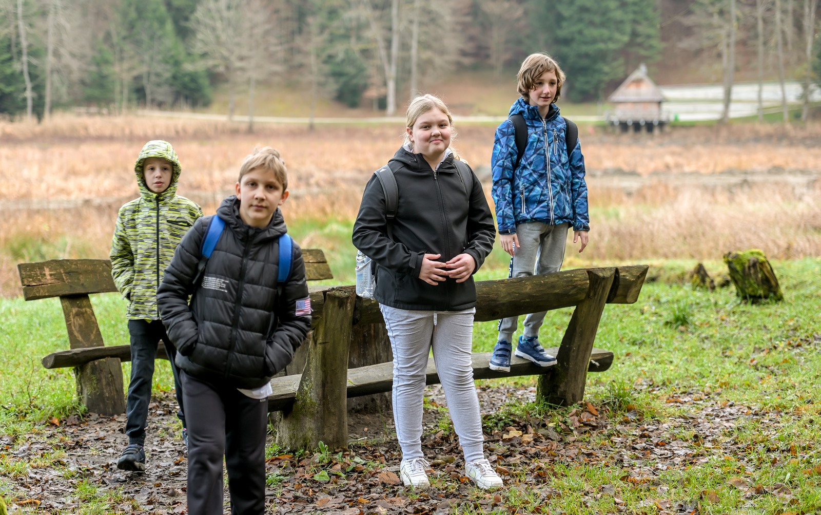 Image 5580863 (auto)