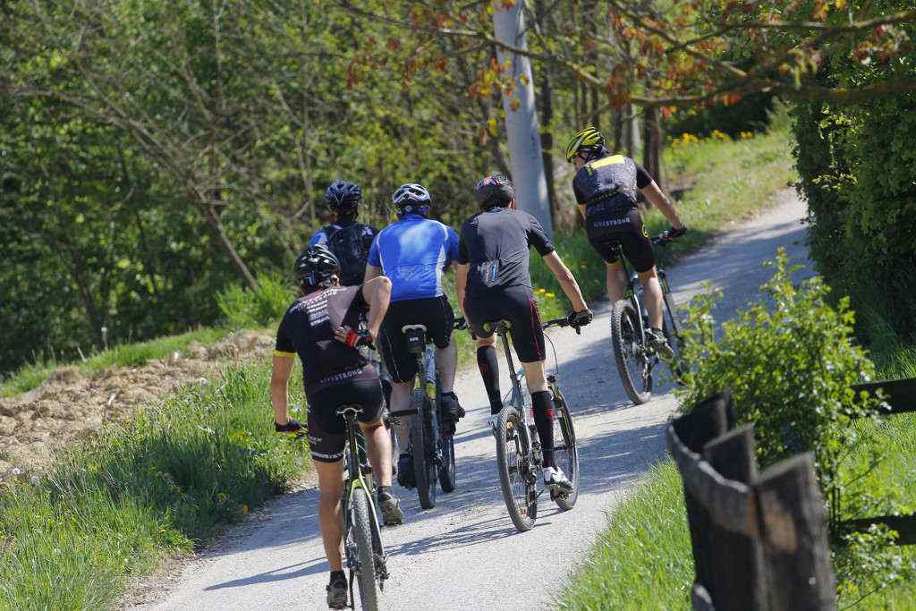 beretinecbbkasinovastaza1329908