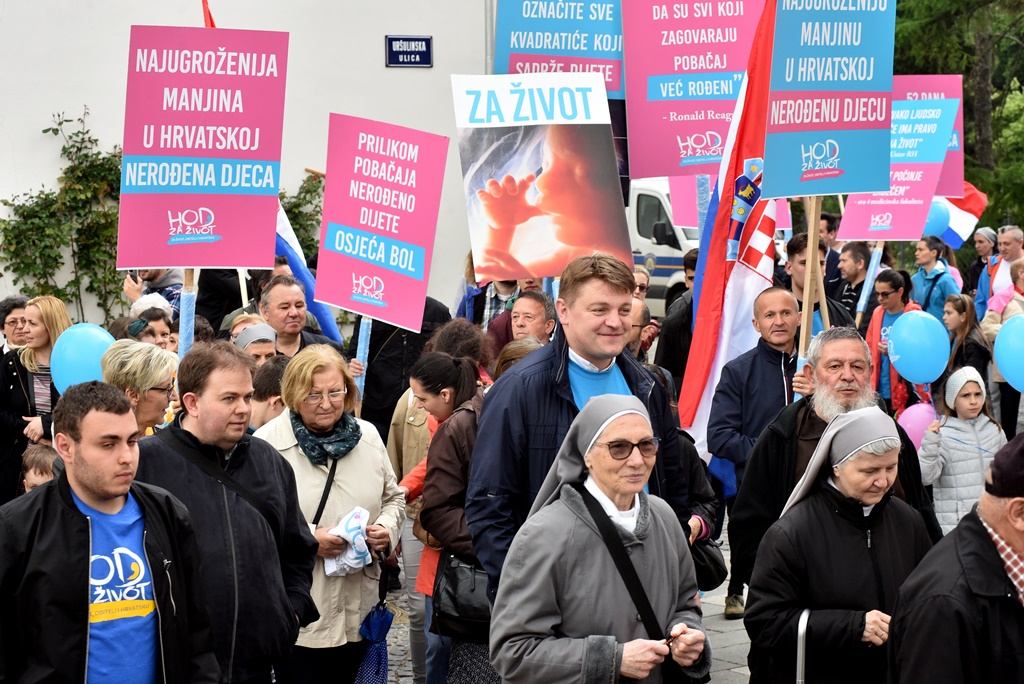 Image 5345640 (auto)