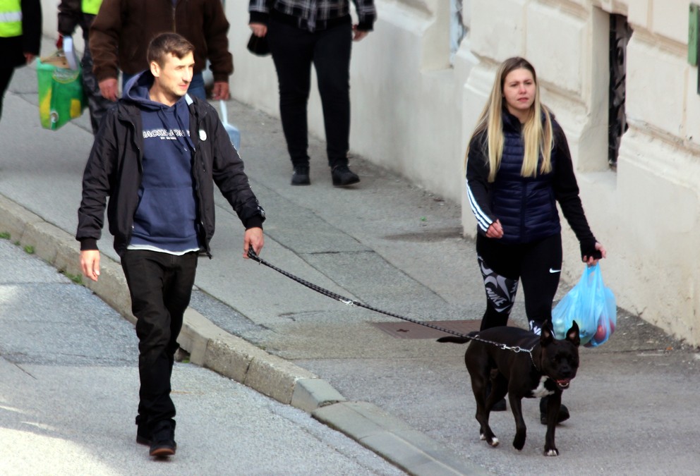 Image 5492722 (auto)