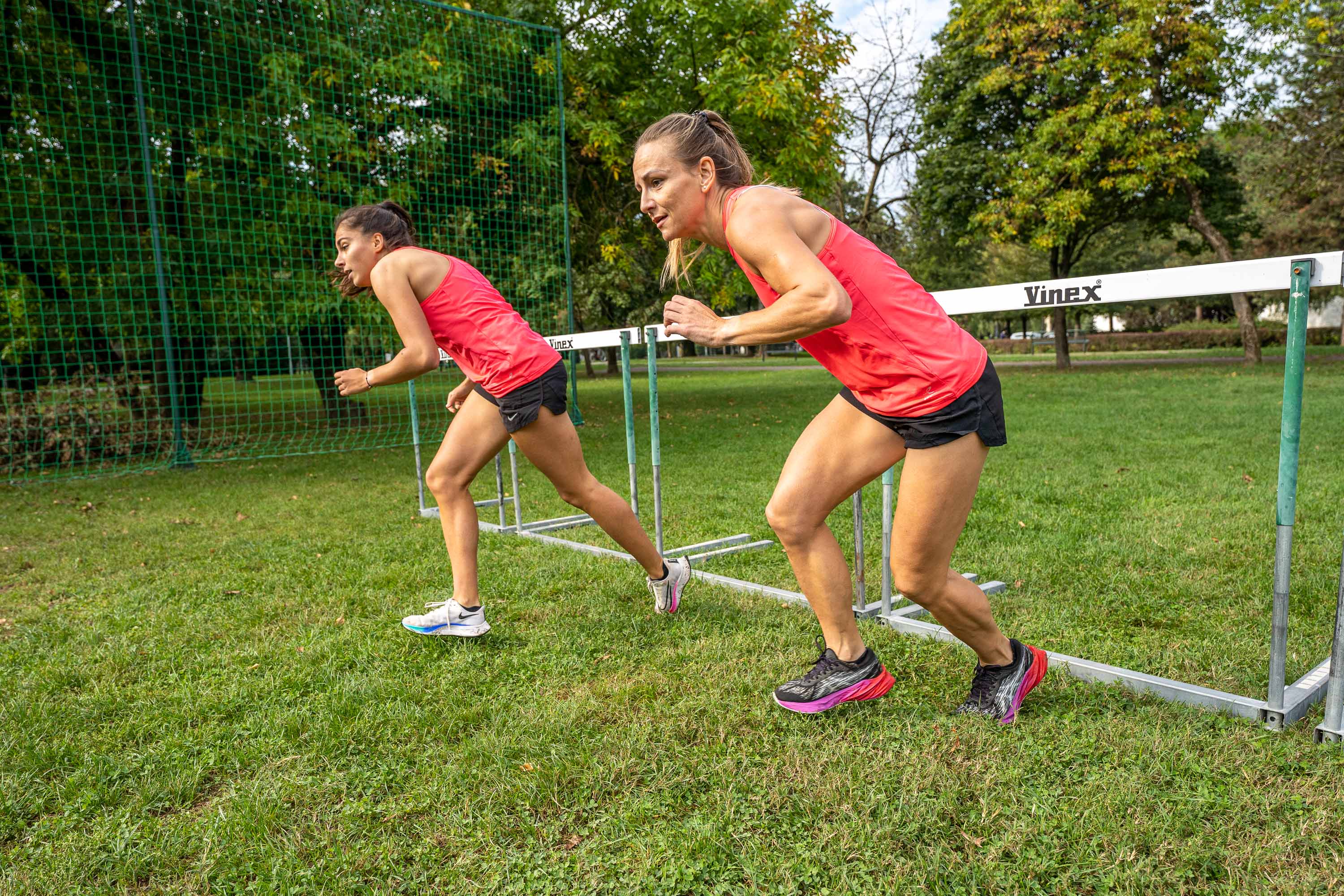 Image 5858479 (auto)