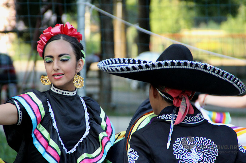 mekasikanciuvisnjici23876276