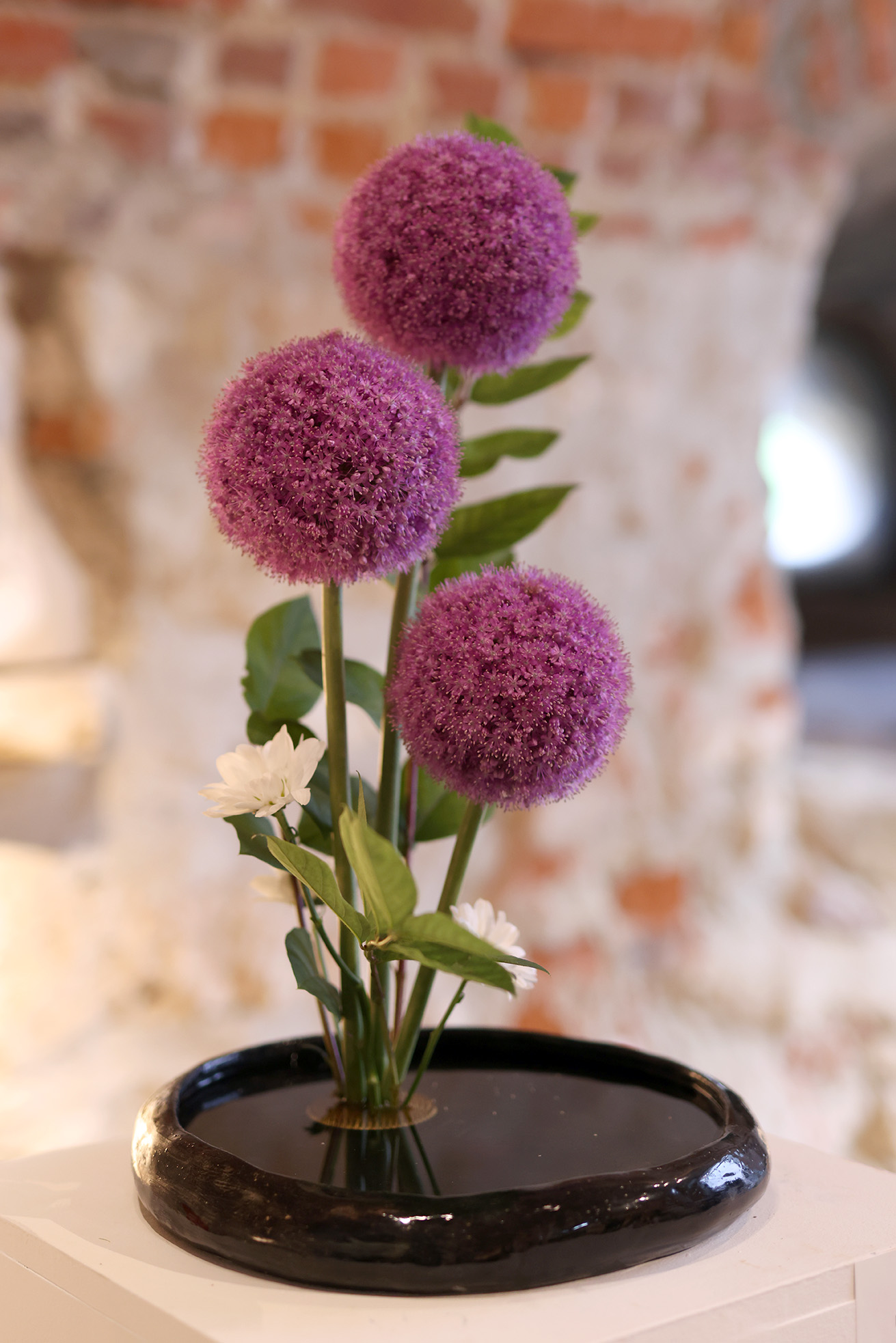 Image 5725377 (auto)