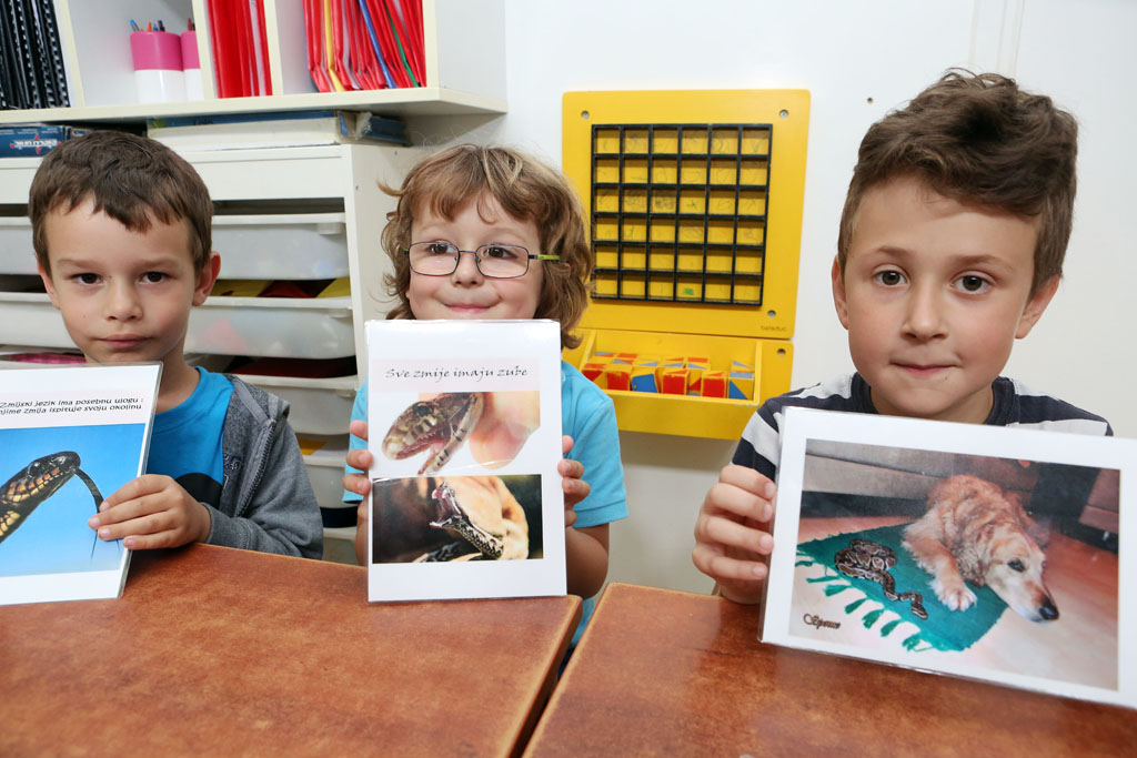 zmijedjecjivrtic4146397