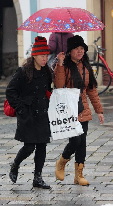 Image 5556433 (auto)