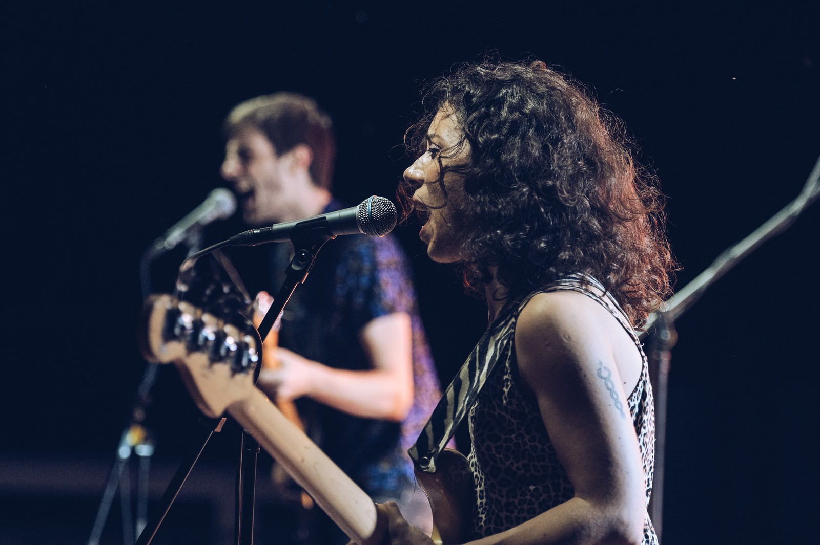 Image 4967720 (auto)