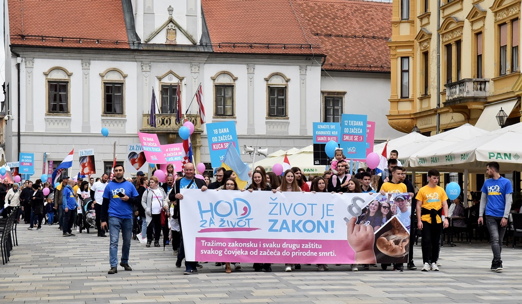 Image 5345646 (auto)